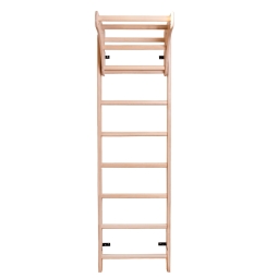 Gimnastikos kopėčios 111