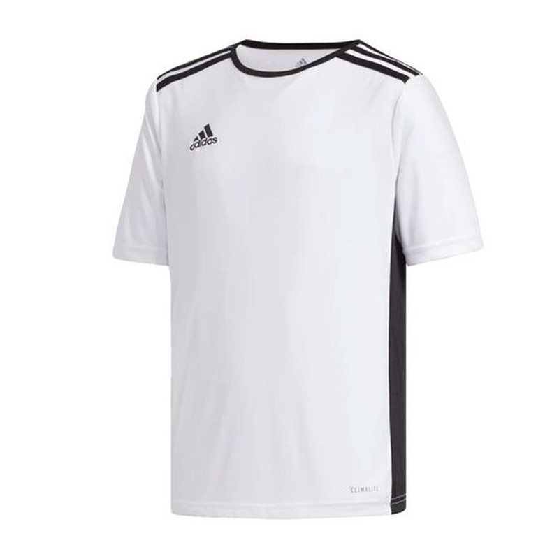Adidas Entrada marškinėliai, 18JSY, dydis 176, balti