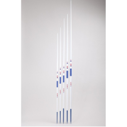 Treniruočių ietis 700 g (matmenys 600 g)