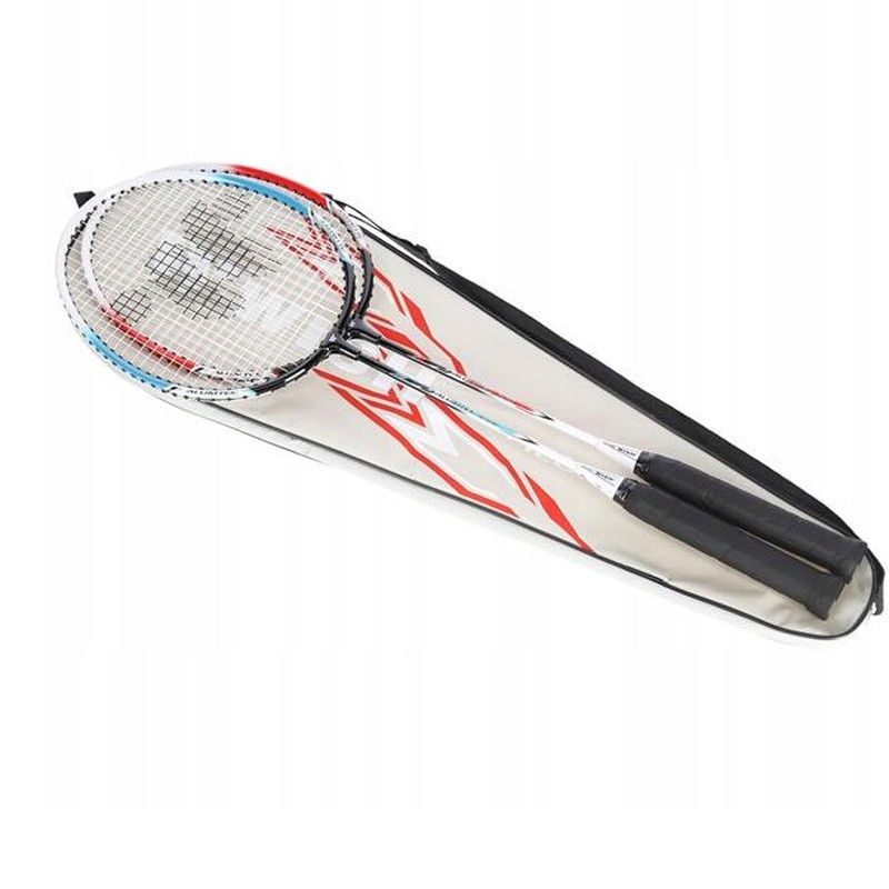 Wish badmintono rinkinys, Alumtec 308