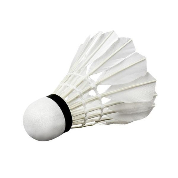 Wish badmintono raketė S505-06, baltos spalvos, plunksninė Wish badmintono raketė S505-06, baltos spalvos, plunksninė