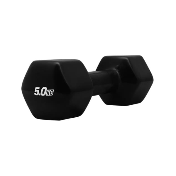 5 kg hantelis 5 kg hantelis