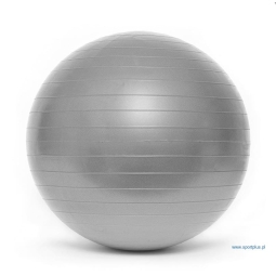 SMJ gimnastikos kamuolys 65 cm